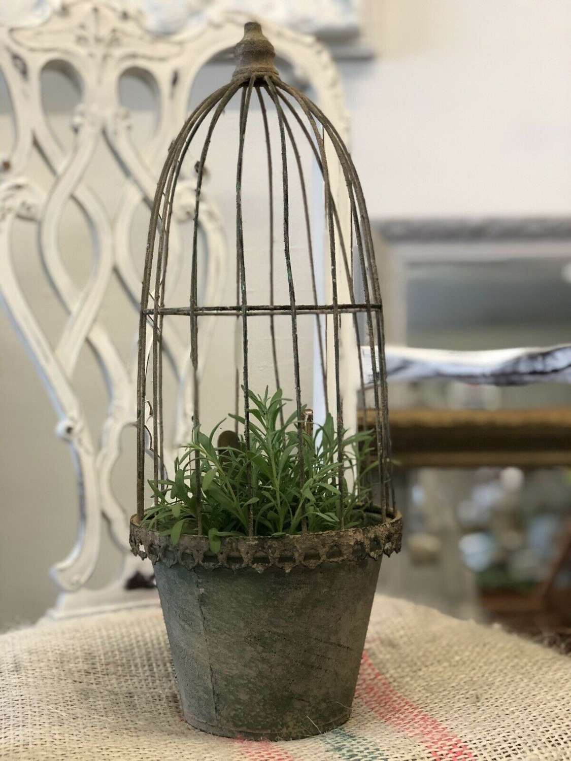 Vintage caged planter medium