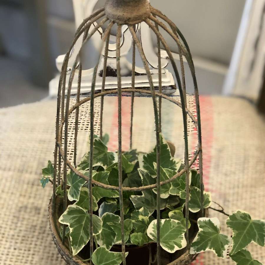 Vintage style caged planter