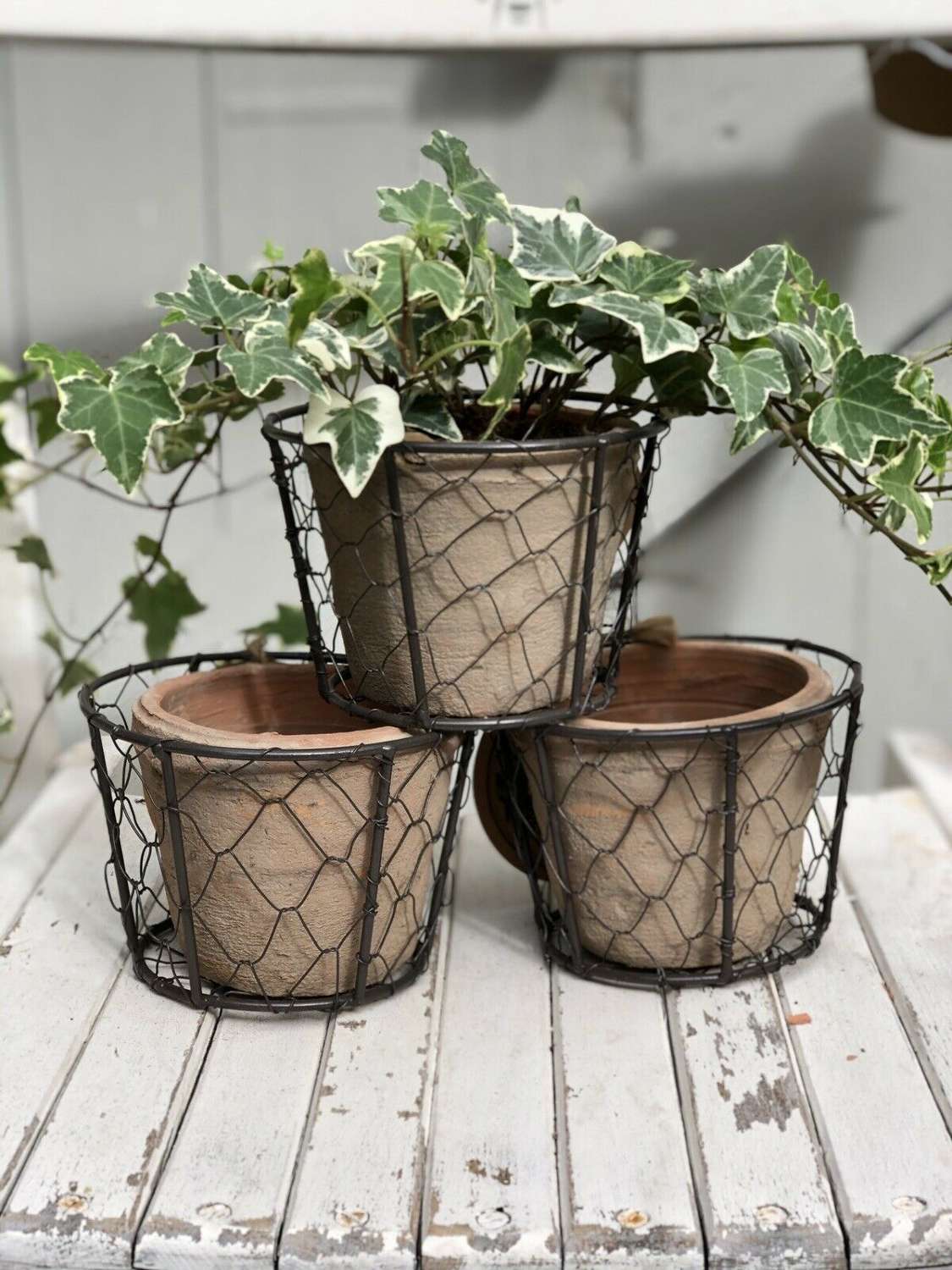 Three herb plant pots