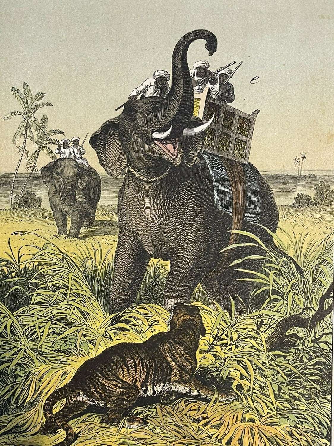1877 Antique Original Book Plate Elephant hunt
