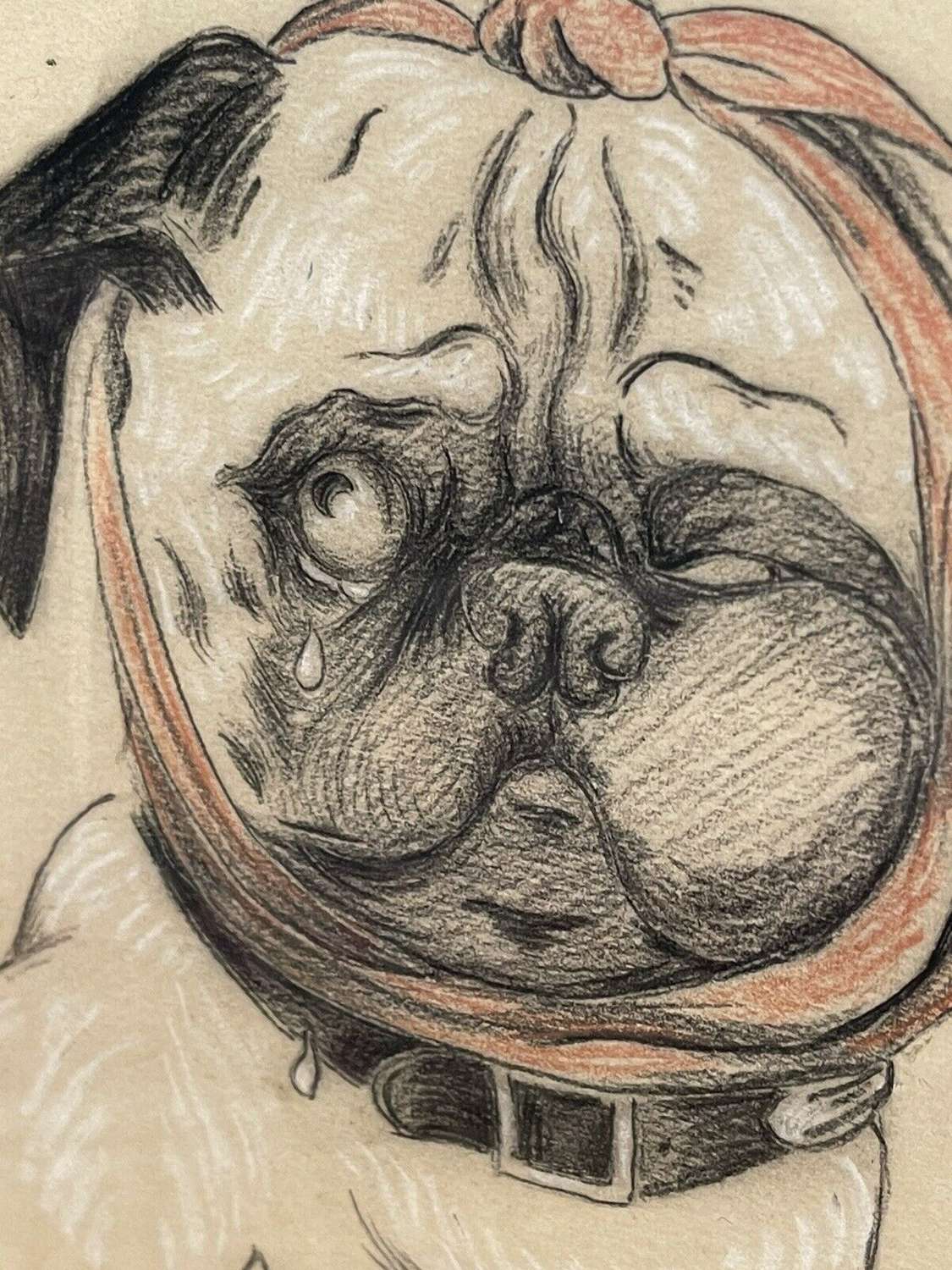 Tearful Pug antique charcoal drawing