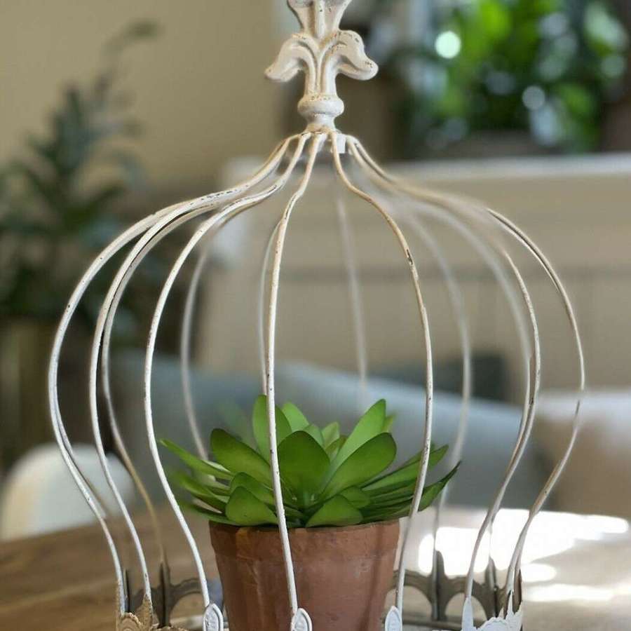 French style plant cloche crown