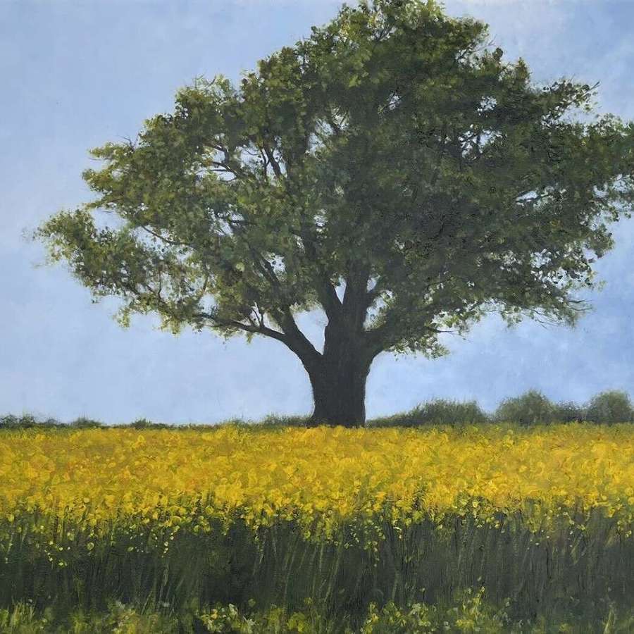 David Brammeld Oil On Canvas “ Yellow Summer”