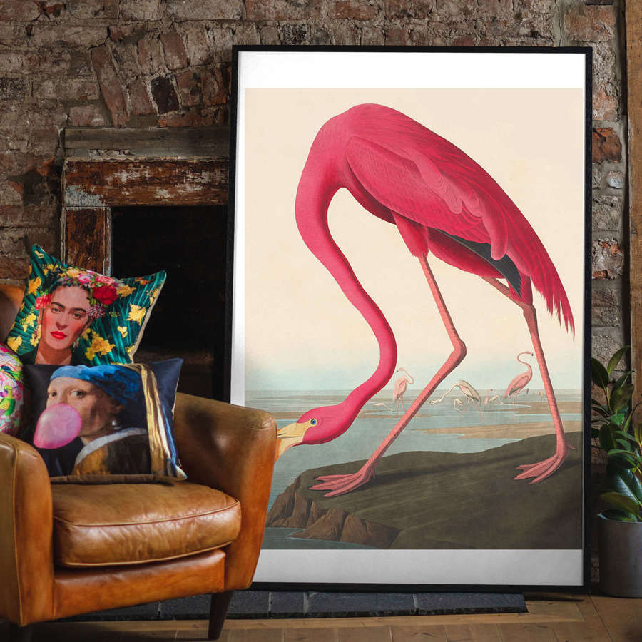 Fine art print of the American Flamingo 70 cm x 100 cm extra large