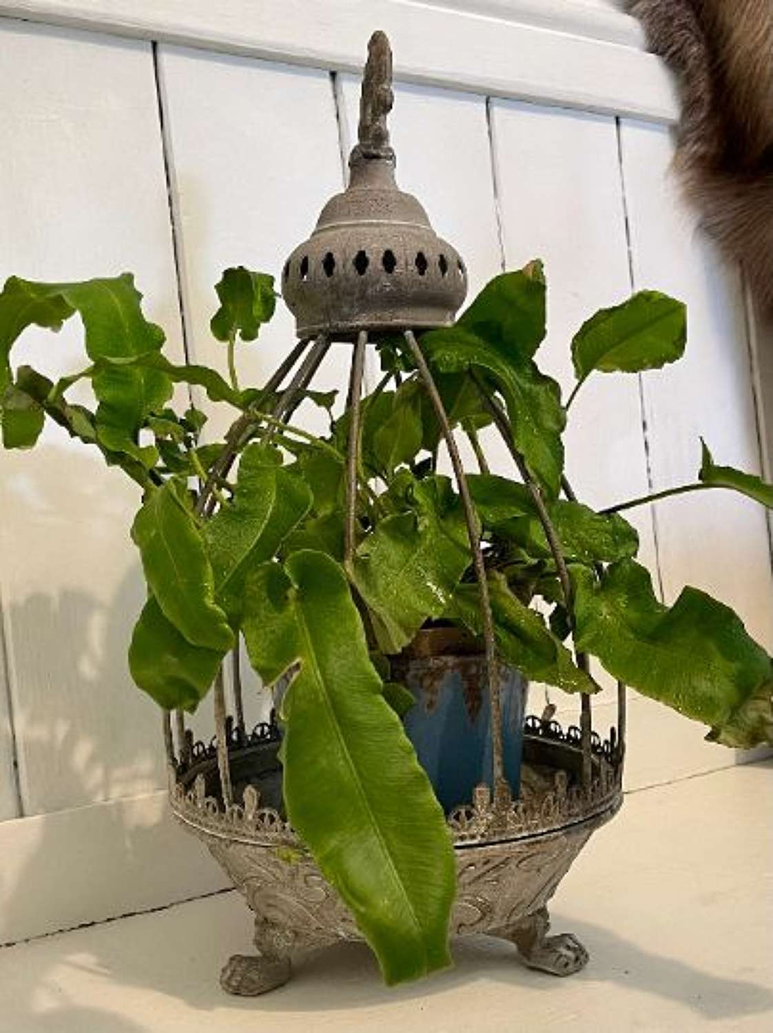 French style caged cloche planter medium