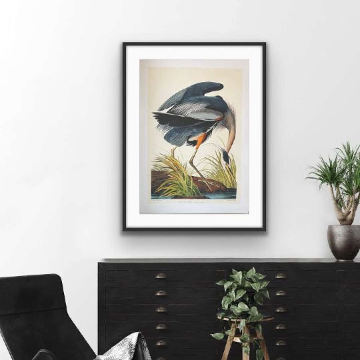 John James Audubon fine art print Blue Heron