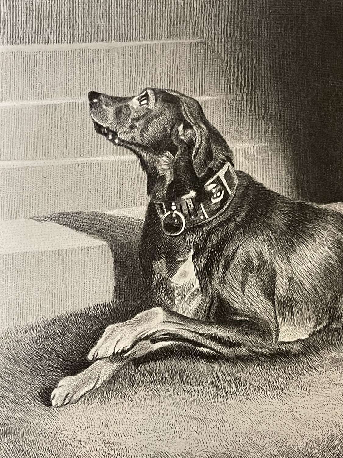 “Waiting  for the Countess” Sir Edward Landseer 19th Century engraving