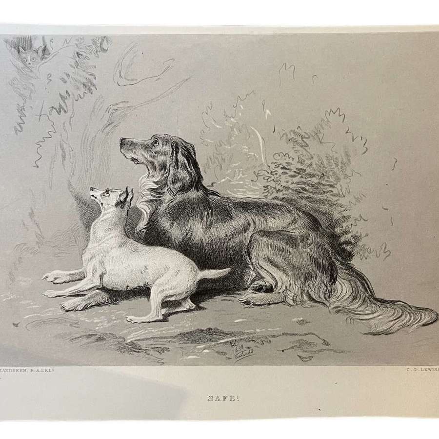 “ Safe” Engraving Sir Edward Landseer 1876