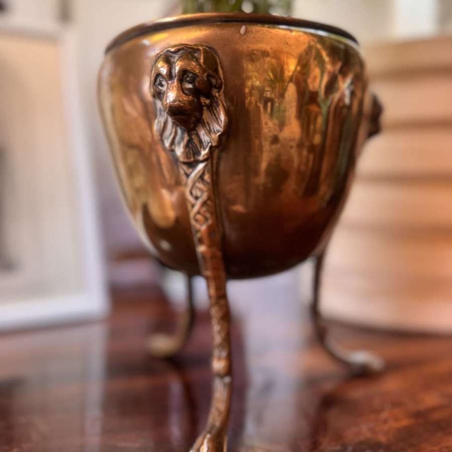 Georgian Brass Lion head Jardiniere