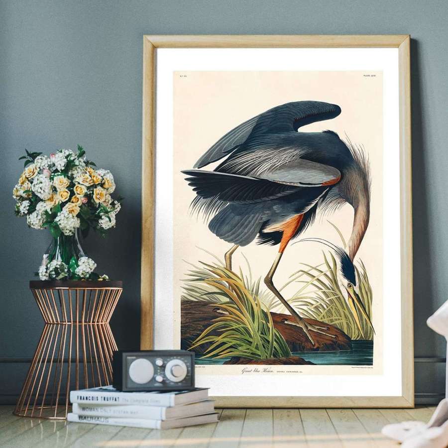 James Audubon Grey Heron art print 61 cm x 91 cm