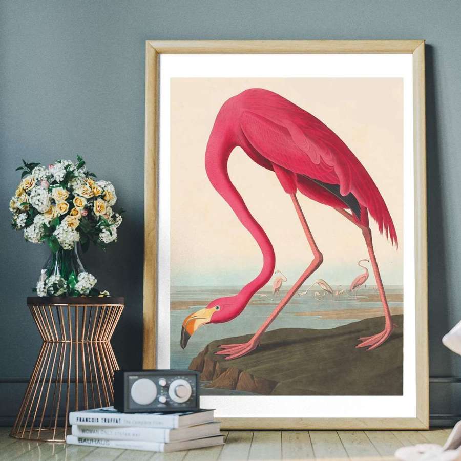 James Audubon Flamingo art print 61 cm x 91 cm