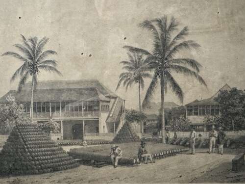 Set of 6 Antique Kingston Jamaica Engravings A Duperly 19th Century