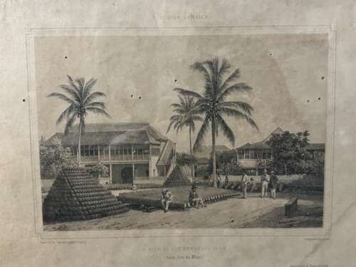 Set of 6 Antique Kingston Jamaica Engravings A Duperly 19th Century